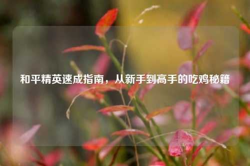 和平精英速成指南，从新手到高手的吃鸡秘籍