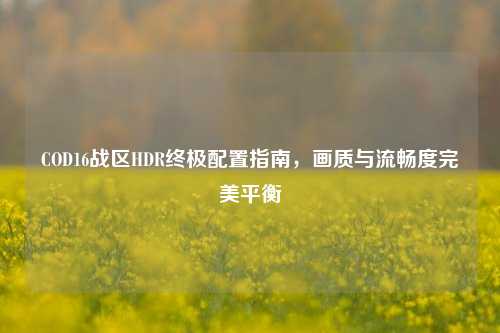 COD16战区HDR终极配置指南，画质与流畅度完美平衡
