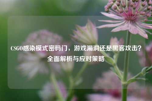 CSGO感染模式密码门，游戏漏洞还是黑客攻击？全面解析与应对策略