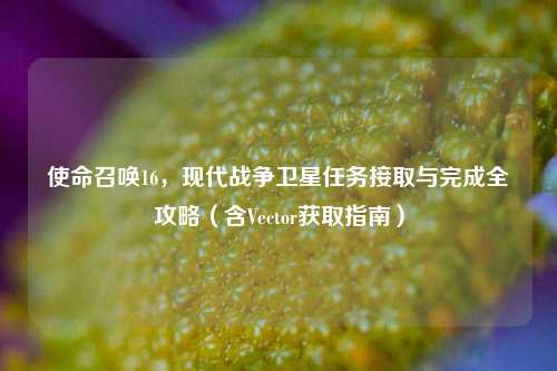 使命召唤16，现代战争卫星任务接取与完成全攻略（含Vector获取指南）