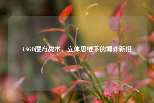 CSGO魔方战术，立体思维下的博弈新招