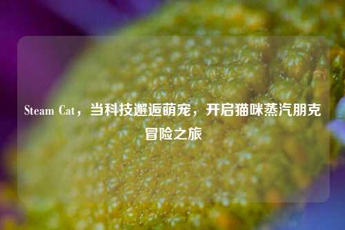 Steam Cat，当科技邂逅萌宠，开启猫咪蒸汽朋克冒险之旅