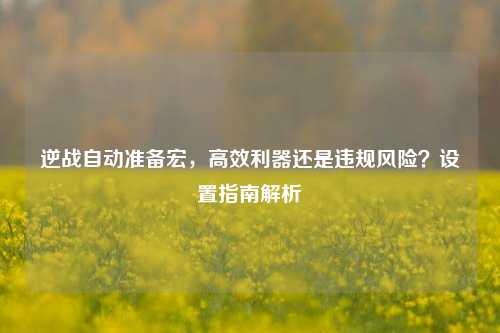 逆战自动准备宏，高效利器还是违规风险？设置指南解析