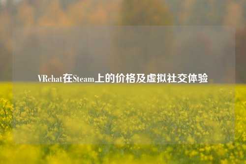 VRchat在Steam上的价格及虚拟社交体验