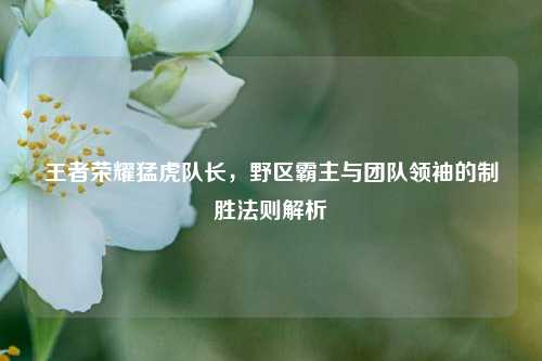 王者荣耀猛虎队长，野区霸主与团队领袖的制胜法则解析
