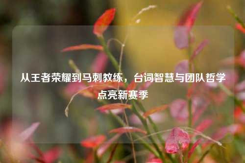 从王者荣耀到马刺教练，台词智慧与团队哲学点亮新赛季