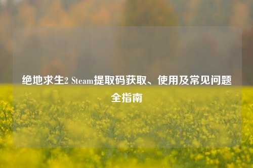 绝地求生2 Steam提取码获取、使用及常见问题全指南
