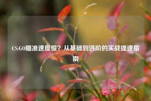 CS:GO瞄准速度慢？从基础到进阶的实战提速指南