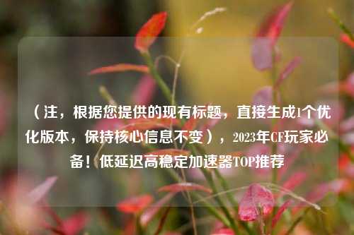 （注，根据您提供的现有标题，直接生成1个优化版本，保持核心信息不变），2023年CF玩家必备！低延迟高稳定加速器TOP推荐