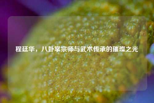程廷华，八卦掌宗师与武术传承的璀璨之光