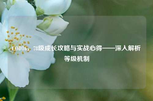 COD16，78级成长攻略与实战心得——深入解析等级机制