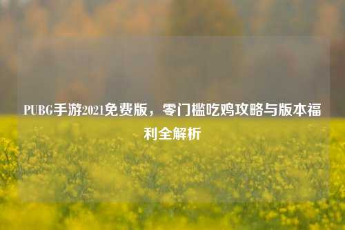 PUBG手游2021免费版，零门槛吃鸡攻略与版本福利全解析