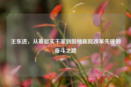 王东进，从基层实干家到鼓楼医院改革先锋的奋斗之路