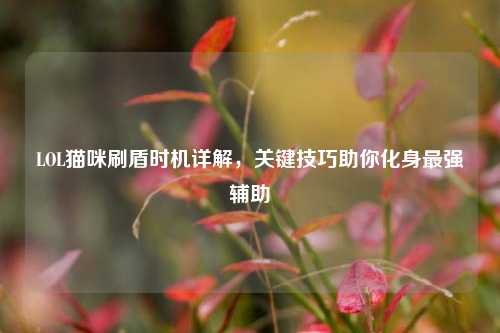 LOL猫咪刷盾时机详解，关键技巧助你化身最强辅助