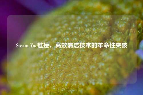 Steam Vac链接，高效清洁技术的革命性突破