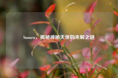 Sunurn，揭秘神秘天体的未解之谜