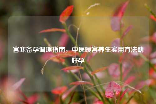宫寒备孕调理指南，中医暖宫养生实用 *** 助好孕