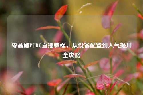 零基础PUBG直播教程，从设备配置到人气提升全攻略