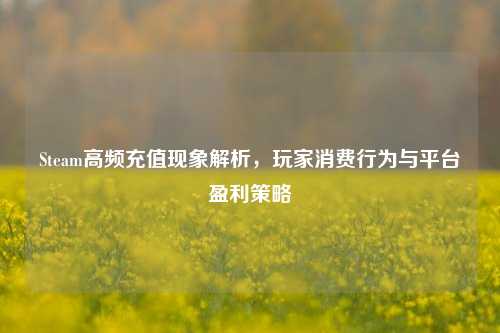 Steam高频充值现象解析，玩家消费行为与平台盈利策略