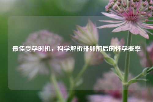 更佳受孕时机，科学解析排卵前后的怀孕概率
