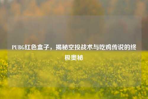 PUBG红色盒子，揭秘空投战术与吃鸡传说的终极奥秘
