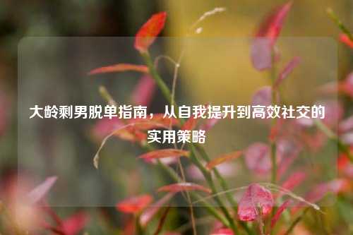 大龄剩男脱单指南，从自我提升到高效社交的实用策略