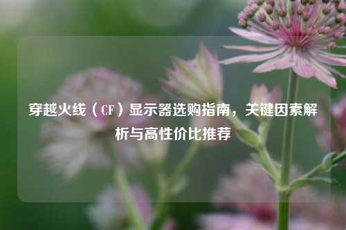 穿越火线（CF）显示器选购指南，关键因素解析与高性价比推荐