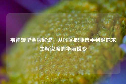 韦神转型金牌解说，从PUBG职业选手到绝地求生解说席的华丽蜕变