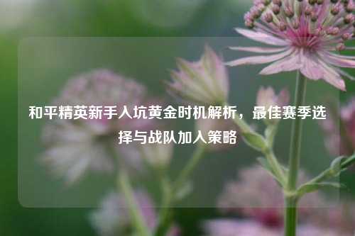 和平精英新手入坑黄金时机解析，更佳赛季选择与战队加入策略