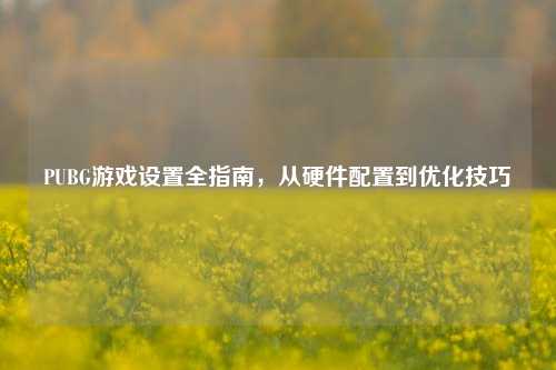 PUBG游戏设置全指南，从硬件配置到优化技巧