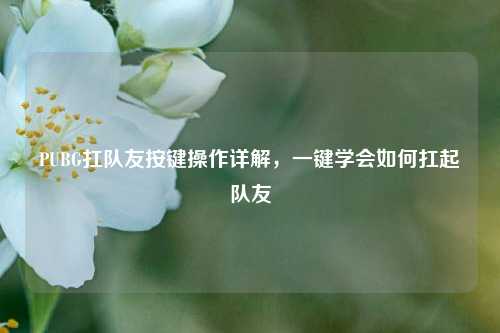PUBG扛队友按键操作详解，一键学会如何扛起队友