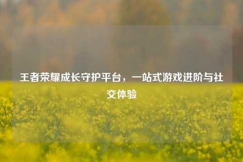 王者荣耀成长守护平台，一站式游戏进阶与社交体验