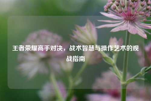 王者荣耀高手对决，战术智慧与操作艺术的观战指南