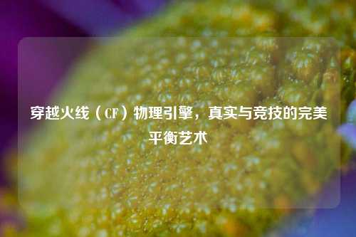 穿越火线（CF）物理引擎，真实与竞技的完美平衡艺术