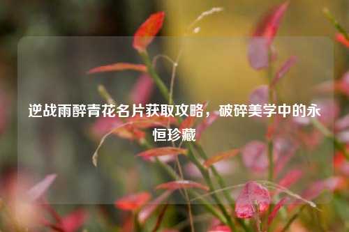 逆战雨醉青花名片获取攻略，破碎美学中的永恒珍藏