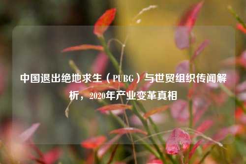 中国退出绝地求生（PUBG）与世贸组织传闻解析，2020年产业变革真相