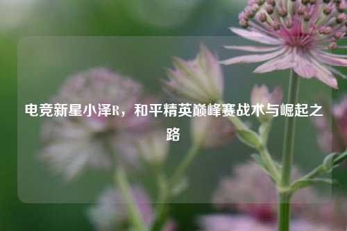 电竞新星小泽R，和平精英巅峰赛战术与崛起之路