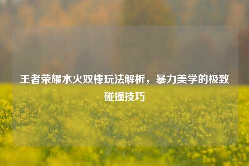 王者荣耀水火双棒玩法解析，暴力美学的极致碰撞技巧