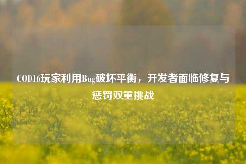 COD16玩家利用Bug破坏平衡，开发者面临修复与惩罚双重挑战