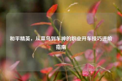 和平精英，从菜鸟到车神的职业开车技巧进阶指南