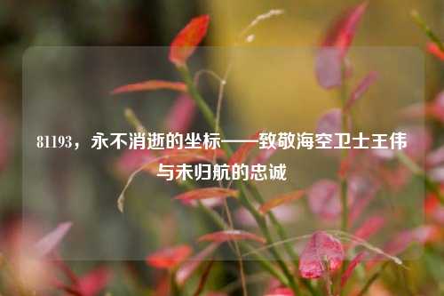 81193，永不消逝的坐标——致敬海空卫士王伟与未归航的忠诚