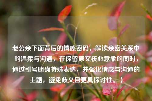 老公亲下面背后的情感密码，解读亲密关系中的温柔与沟通，在保留原文核心意象的同时，通过引号明确特殊表达，并强化情感与沟通的主题，避免歧义且更具探讨性。）