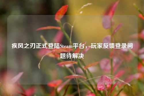 疾风之刃正式登陆Steam平台，玩家反馈登录问题待解决