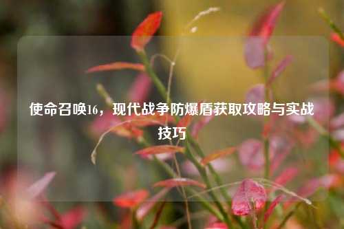使命召唤16，现代战争防爆盾获取攻略与实战技巧
