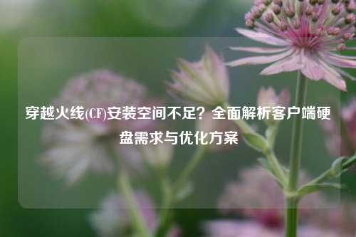 穿越火线(CF)安装空间不足？全面解析客户端硬盘需求与优化方案