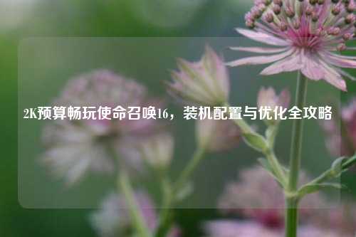 2K预算畅玩使命召唤16，装机配置与优化全攻略