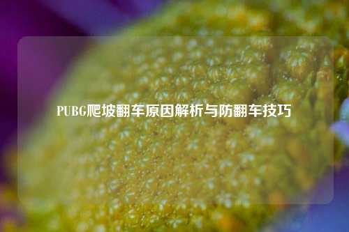 PUBG爬坡翻车原因解析与防翻车技巧