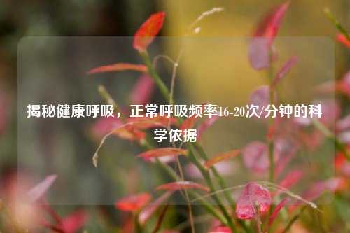 揭秘健康呼吸，正常呼吸频率16-20次/分钟的科学依据