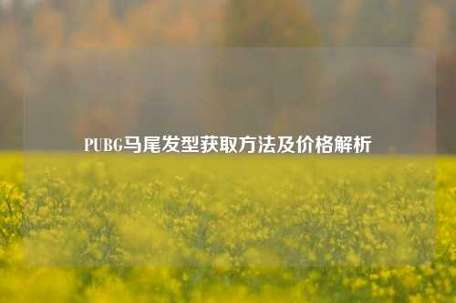 PUBG马尾发型获取 *** 及价格解析