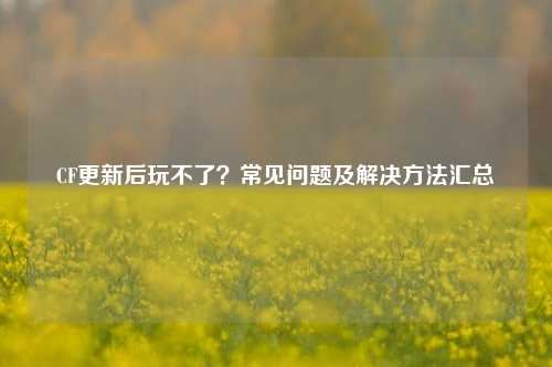 CF更新后玩不了？常见问题及解决 *** 汇总